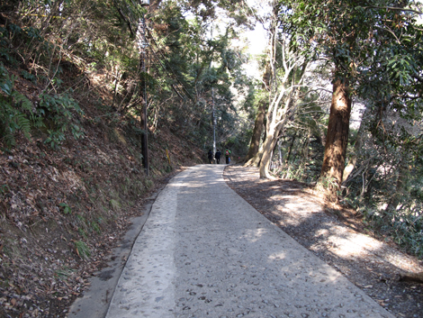 20160226hike (183)